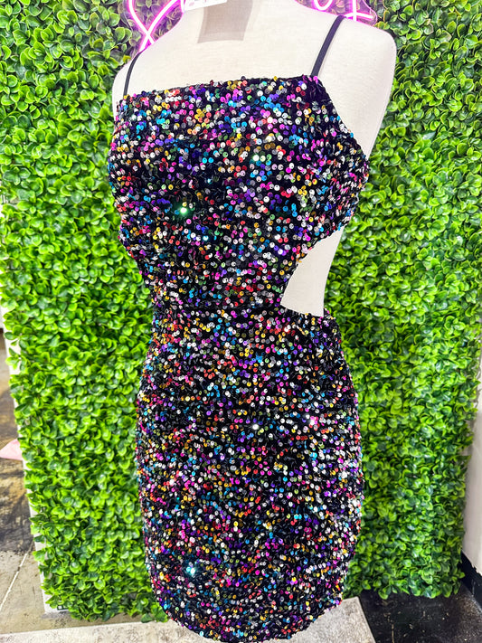 Multi Color Sequin Dress